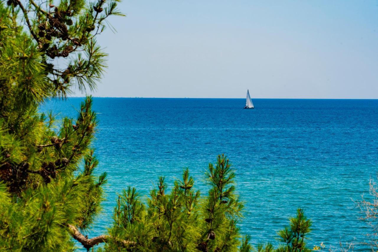 Villa Romantica Hotel PalaiónTsiflíkion Екстериор снимка